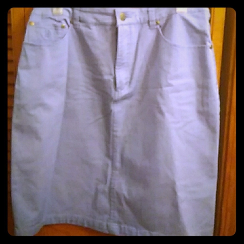 Deniem Skirt